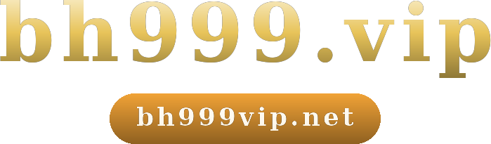 bh999.vip logo